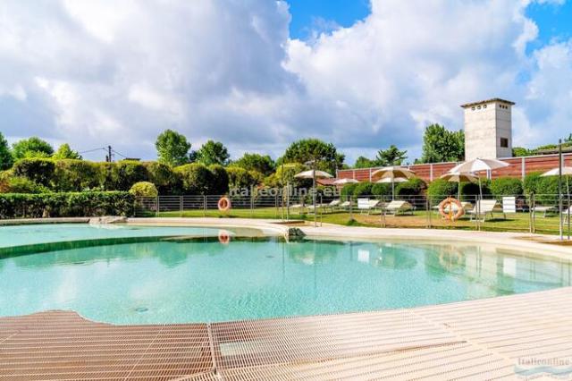 Viareggio Family Collection