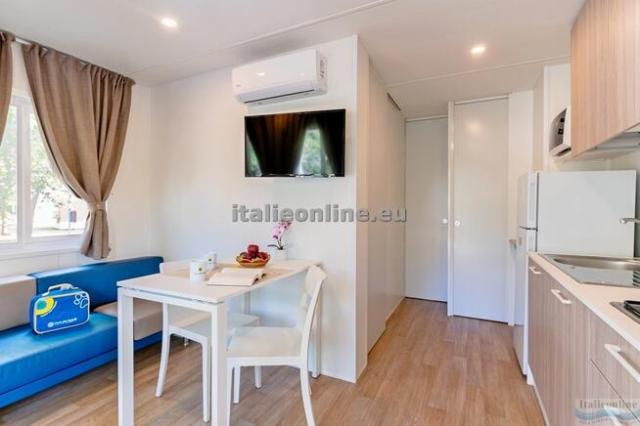 Viareggio Family Collection