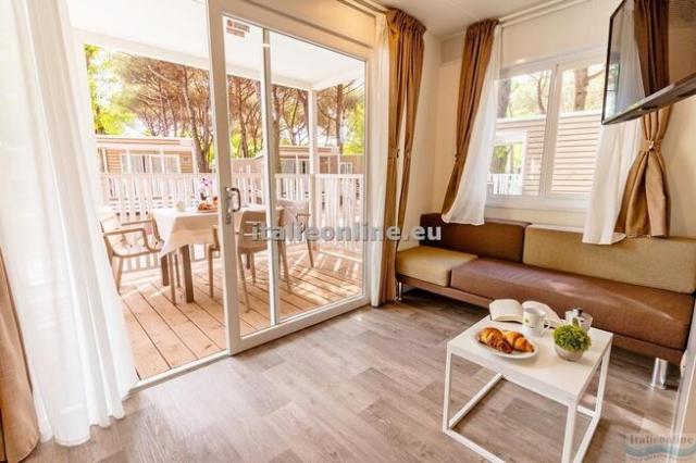 Viareggio Family Collection