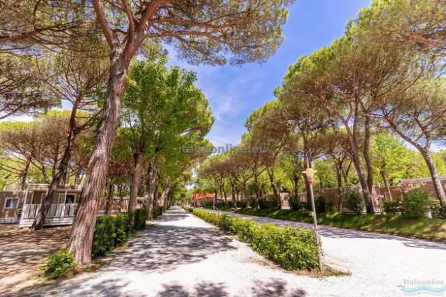 Viareggio Family Collection