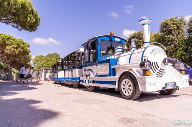 Viareggio Family Collection