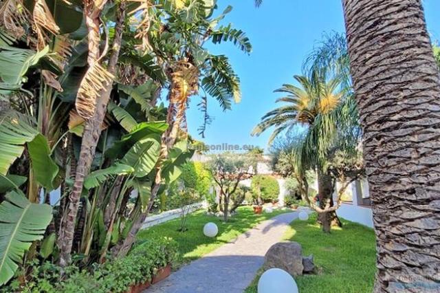 Hotel Royal Palm