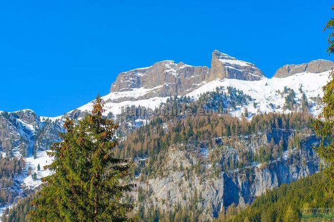 Park Hotel Faloria SKI