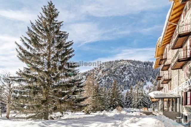 Hotel Monte Cervino SKI