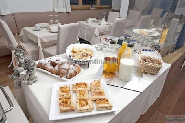 Hotel Golden Park Resort SKI