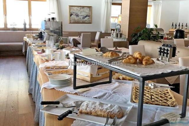Hotel Golden Park Resort SKI
