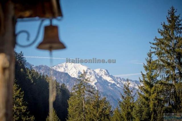 Dolomiti Village