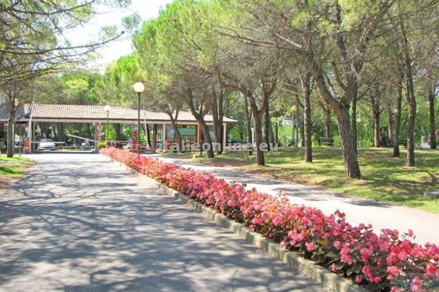 Belvedere Pineta Camping Village