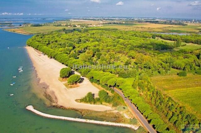 Belvedere Pineta Camping Village