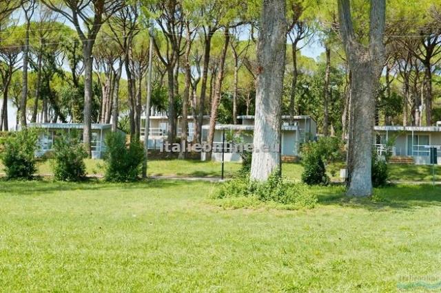 Belvedere Pineta Camping Village