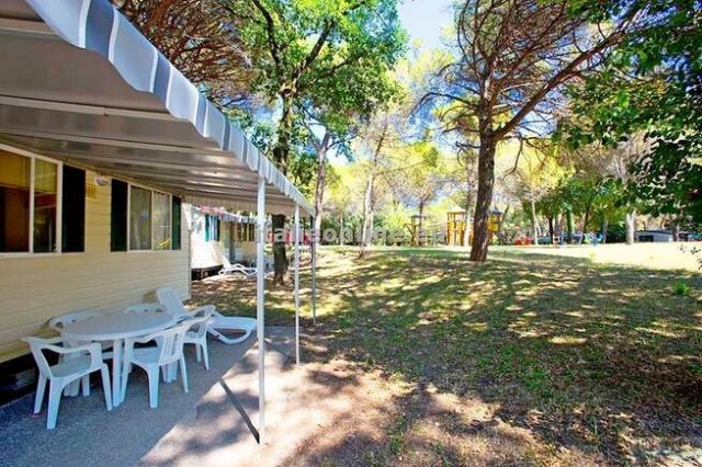 Belvedere Pineta Camping Village