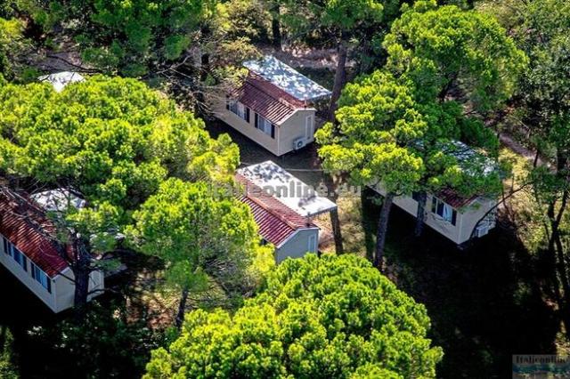 Belvedere Pineta Camping Village