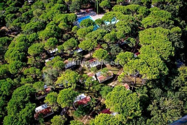 Belvedere Pineta Camping Village
