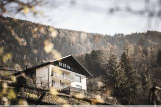 Picea am Ötzerhof