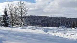 Der Wieshof