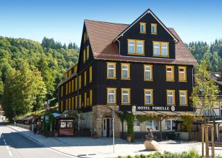 Ferien Hotel Forelle