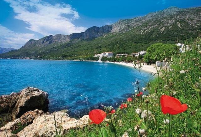 GRADAC (5).JPG