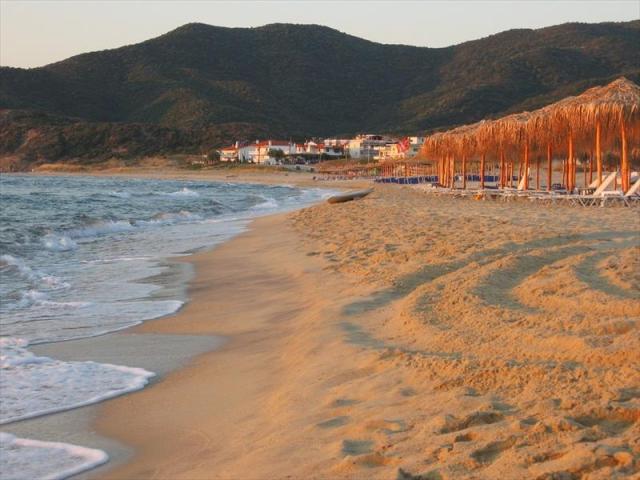 SARTI (11).JPG