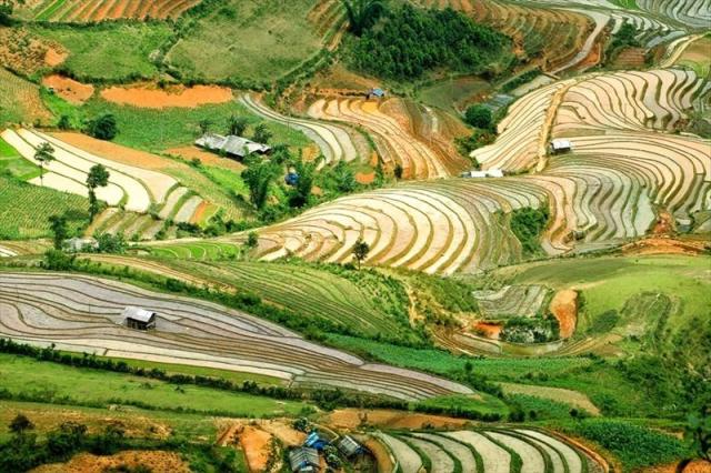 VIETNAM_18_RICE FIELDS MU CANG CHAI.JPG