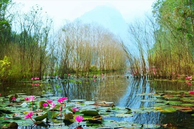 VIETNAM_30_LAKE.JPG