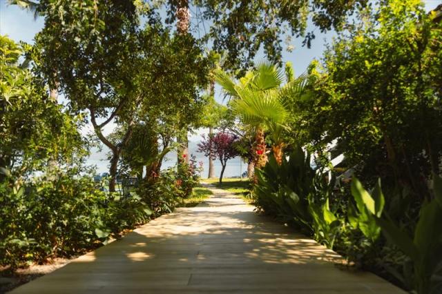 GARDEN.JPG