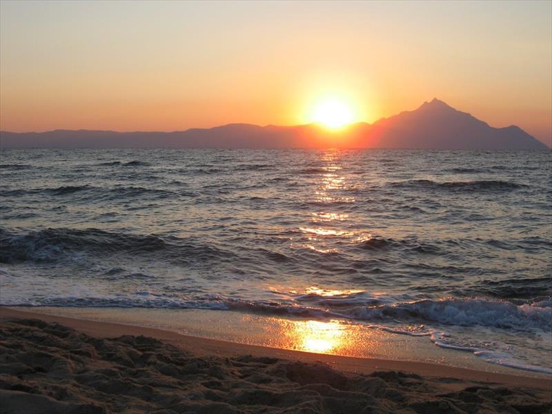 SARTI (10).JPG