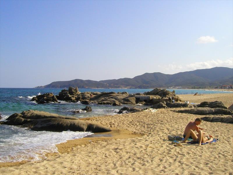SARTI (4).JPG