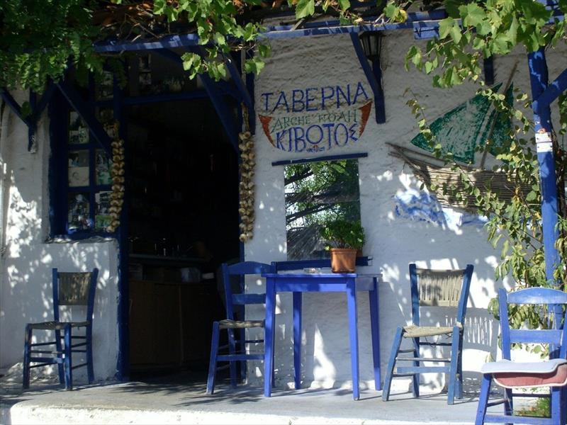 SARTI (5).JPG