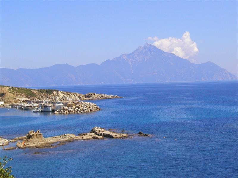 SARTI (6).JPG