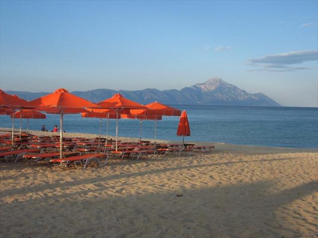 SARTI (9).JPG