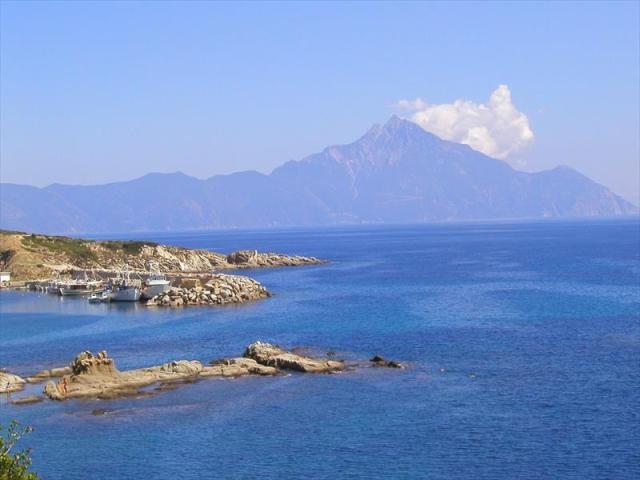 SARTI (6).JPG
