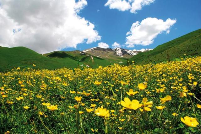 ARMENIE_SHUT_115800430_2018_WWW.JPG