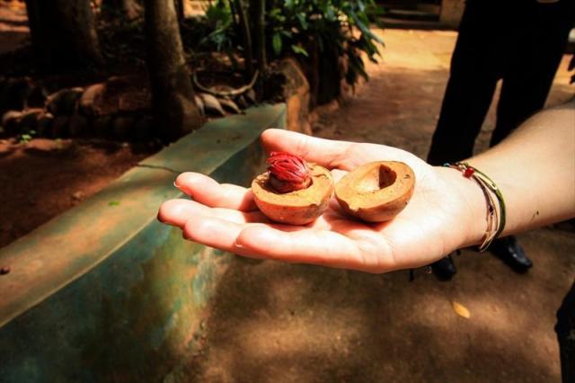SRI LANKA KOUPENÉ (11).JPG