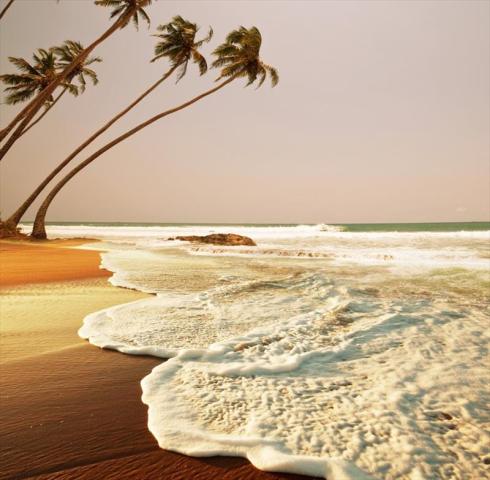 SRI LANKA KOUPENÉ (38).JPG