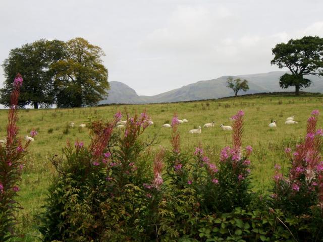 mezi Milngavie a Drymen