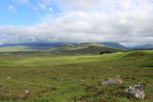 Rannoch Moor (2)