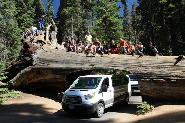 N.P. Sequoia - Tunnel Log