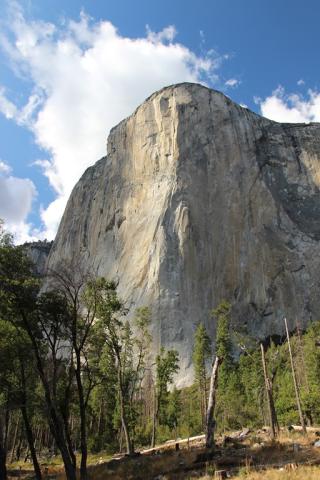 Yosemite - El Capitan
