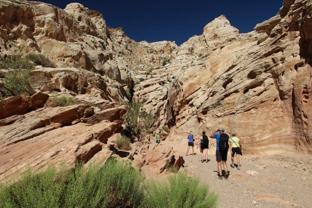 Little Wild Horse Canyon