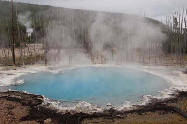 Norris Geyser Basin