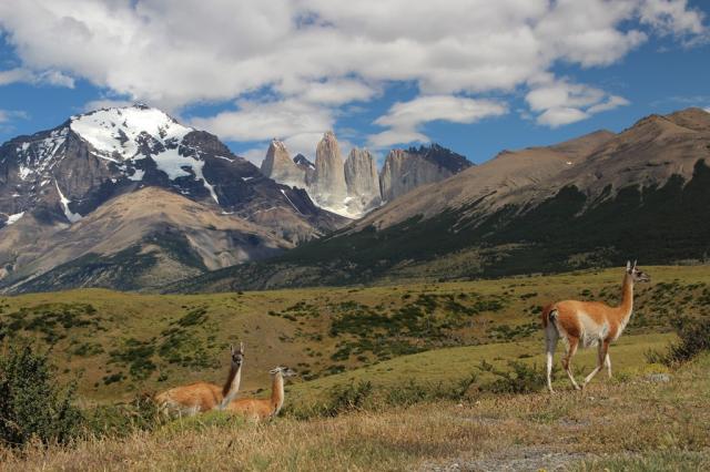 PN Torres del Paine 4