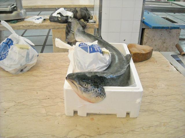 Mercado dos lavradores (4)
