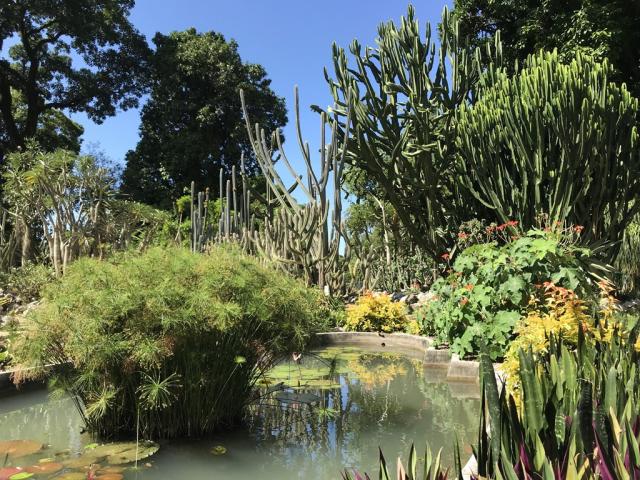 botanická zahrada
