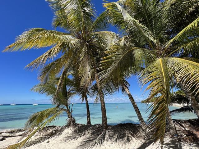 Isla Saona