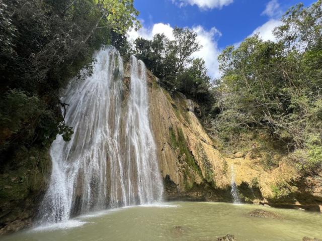 El Limón