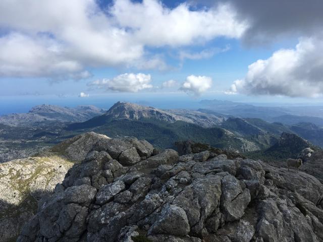 pohled z vrcholu Massanella (1352m)