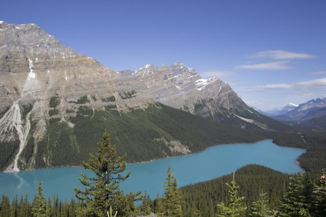 Peyto Lake (Lake Louis)