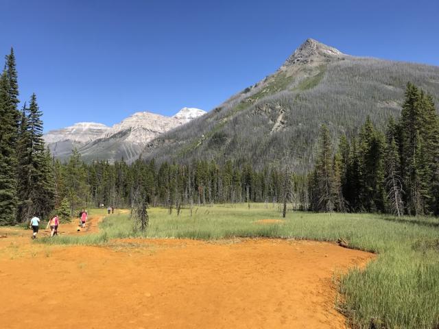 Kanada - turistika v národních parcích