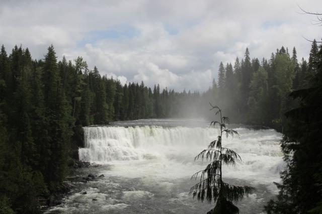 Dawson Falls