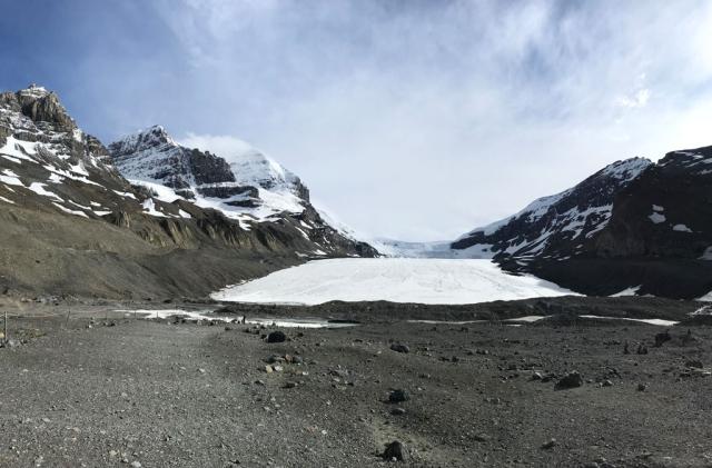 ledovec Athabasca